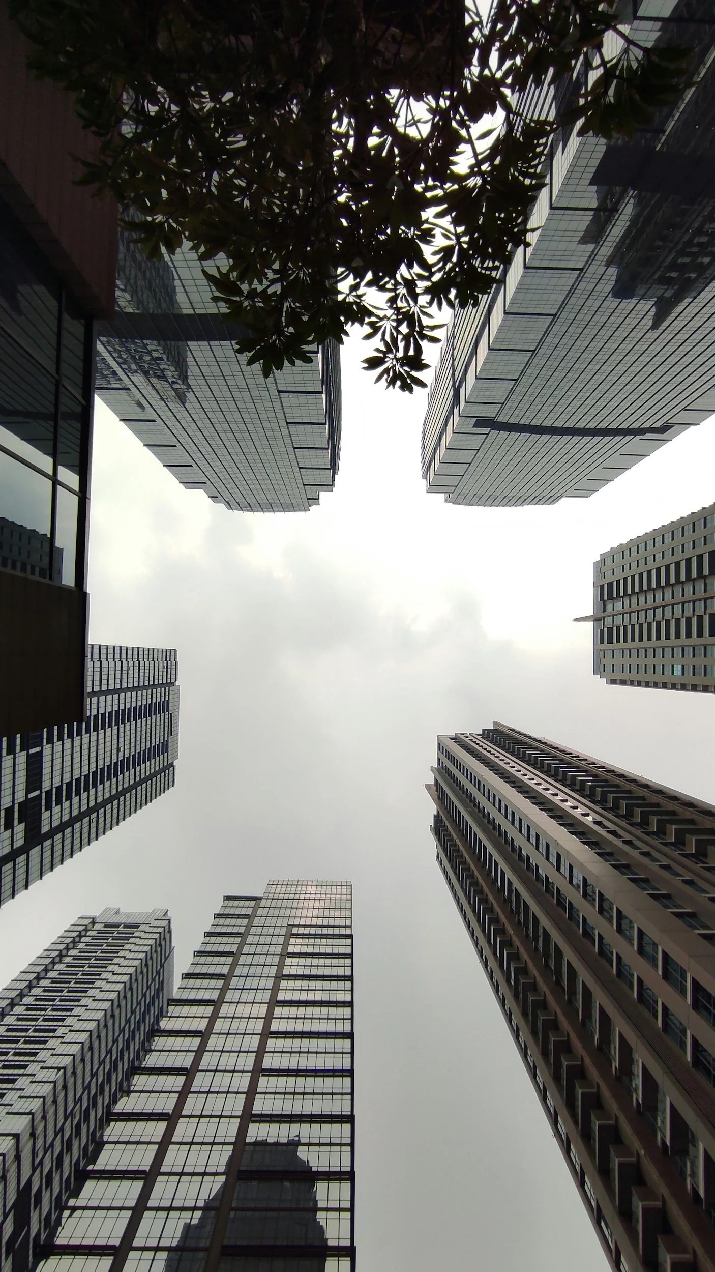 Looking up at tall modern skyscrapers with glass facades in a city